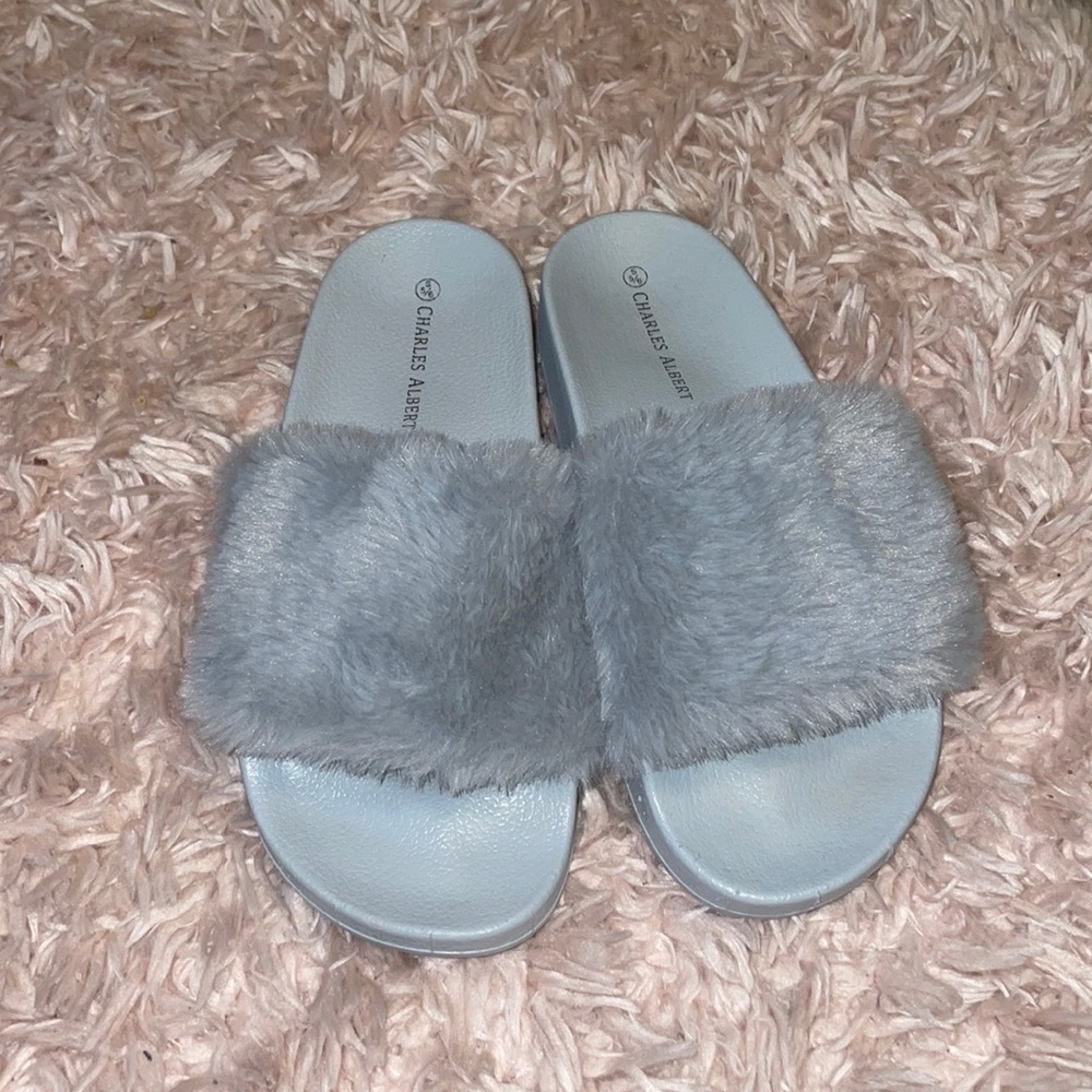 Charles Albert Fluff Slides